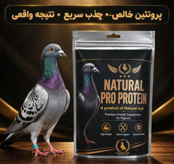 فروش مکمل طبیعی پرندگان زینتی|کبوتر مسافتی و کبوتر مسابقه ای