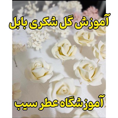 آموزش گل شکری در بابل