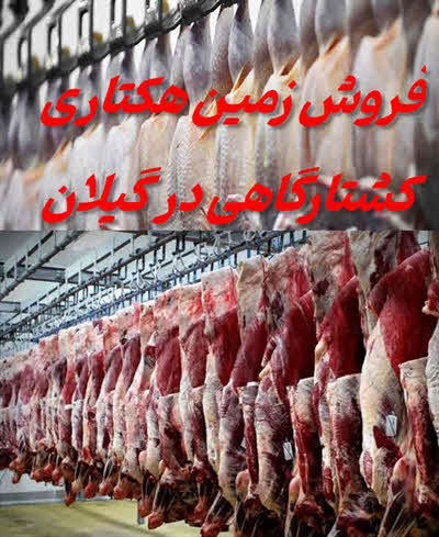 فروش زمین هکتاری کشتارگاه گیلان