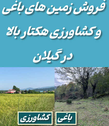  زمین هکتاری باغی کشاورزی گیلان