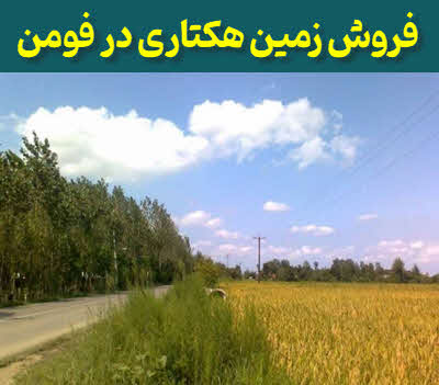 زمین هکتاری فومن