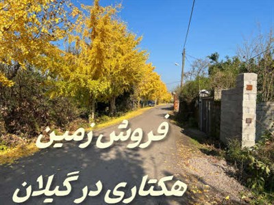 فروش زمین هکتاری گیلان