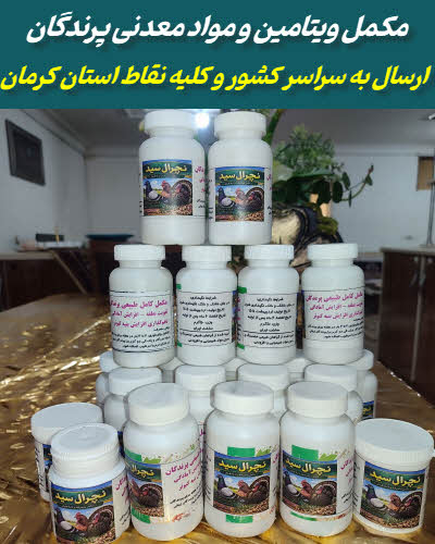 مکمل ویتامین و مواد معدنی طبیعی پرندگان | نچرال سید
