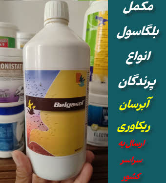مکمل بلگاسول پرندگان | آبرسان-ریکاوری-تقویت انرژی