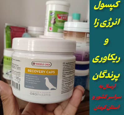 کپسول انرژی زا و ریکاوری پرندگان | ورسله لاگا