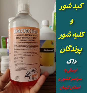 کبدشور و کلیه شور پرنده و کبوتر | داکوکول
