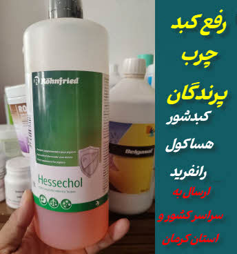 رفع کبد چرب کبوتر و پرنده | کبدشور هساکول رانفرید