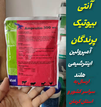 آنتی بیوتیک کبوتر و پرنده | آمپرولین