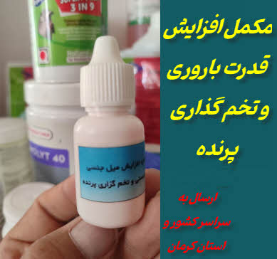 مکمل افزایش قدرت تخم گذاری و باروری کبوتر و پرنده
