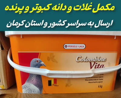 مکمل خشک غلات و دانه پرنده و کبوتر