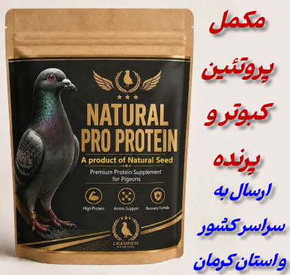 مکمل پروتئین کبوتر و پرنده | مکمل تقویتی نچرال سید