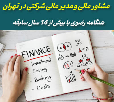 مدیر مالی و مشاور مالی شرکتی در تهران | هنگامه رضوی